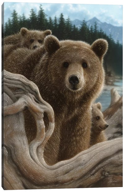 Brown Bears Backpacking, Vertical Canvas Art Print - Collin Bogle