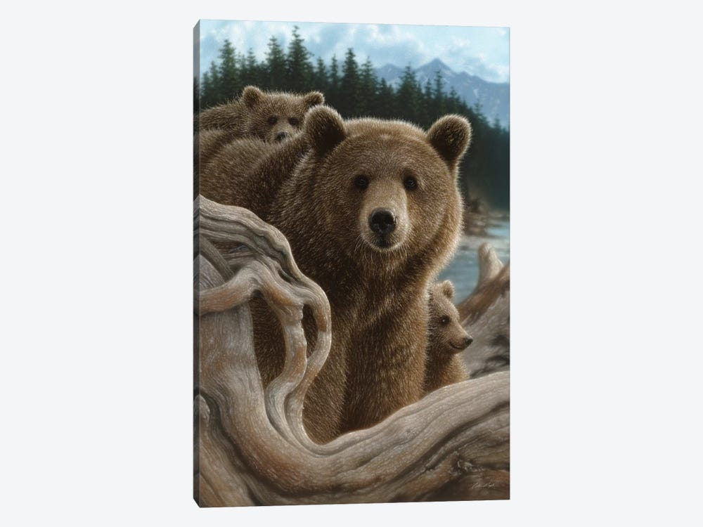 Brown Bears Backpacking, Vertical by Collin Bogle 1-piece Canvas Print