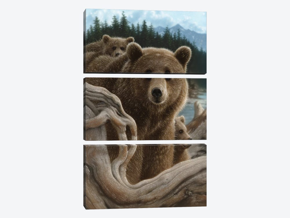Brown Bears Backpacking, Vertical 3-piece Canvas Art Print