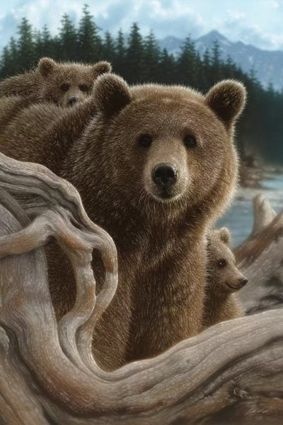 Collin Bogle: Brown Bears Backpacking, Vertical by Collin Bogle