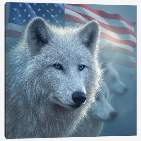 Arctic Wolves - America Canvas Print #CBO91} by Collin Bogle Canvas Wall Art