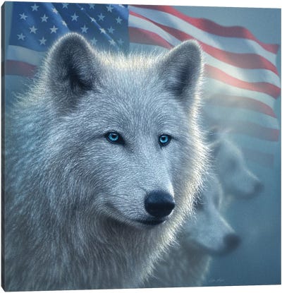Arctic Wolves - America Canvas Art Print - Collin Bogle