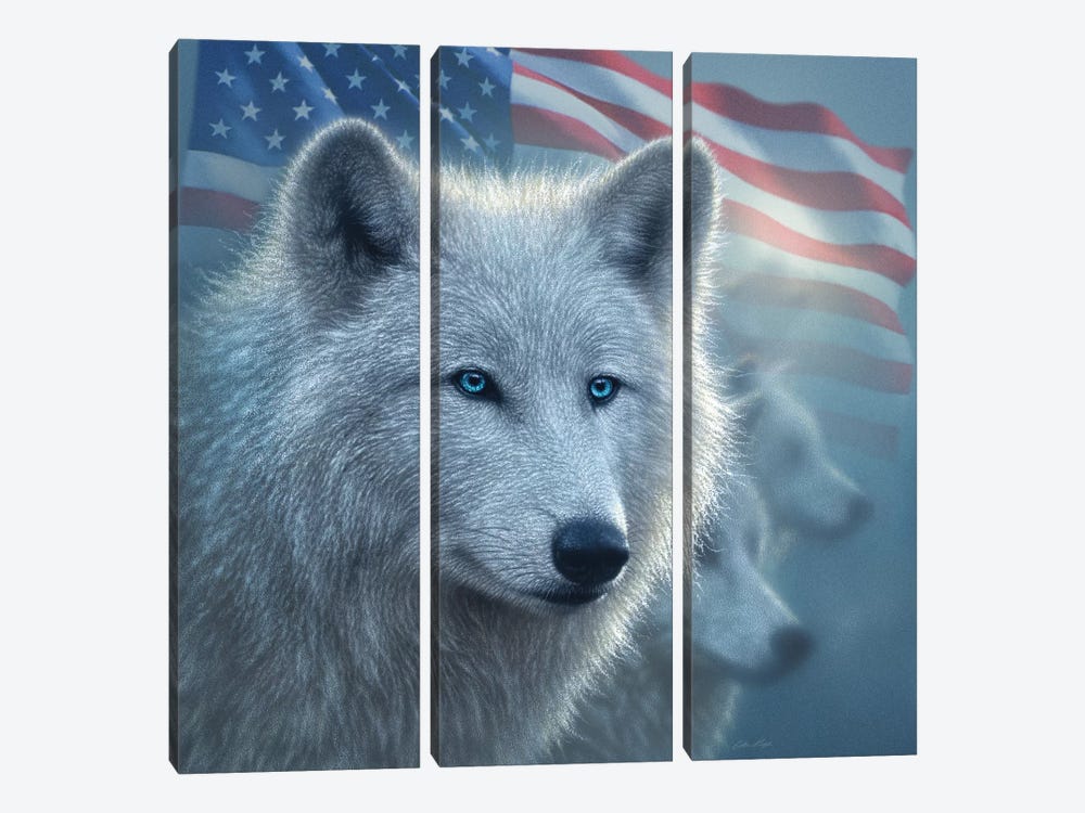 Arctic Wolves - America by Collin Bogle 3-piece Canvas Print