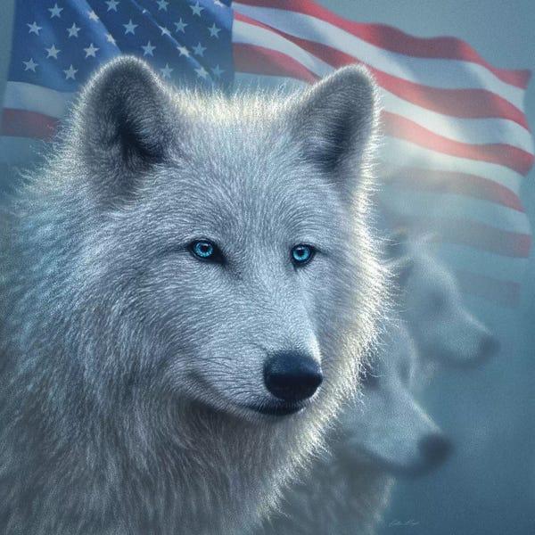 American Décor: Arctic Wolves - America by Collin Bogle