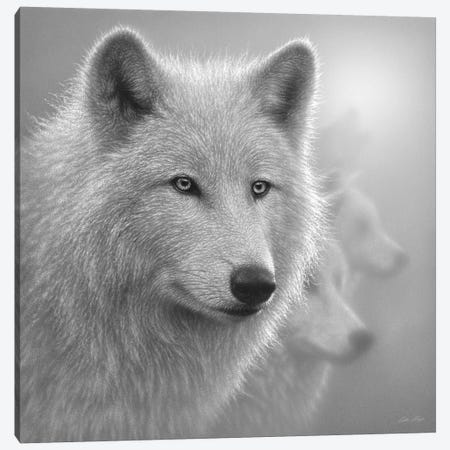 Arctic Wolves Whiteout In Black & White Canvas Print #CBO92} by Collin Bogle Canvas Art