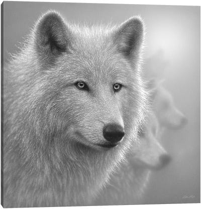 Arctic Wolves Whiteout In Black & White Canvas Art Print - Collin Bogle