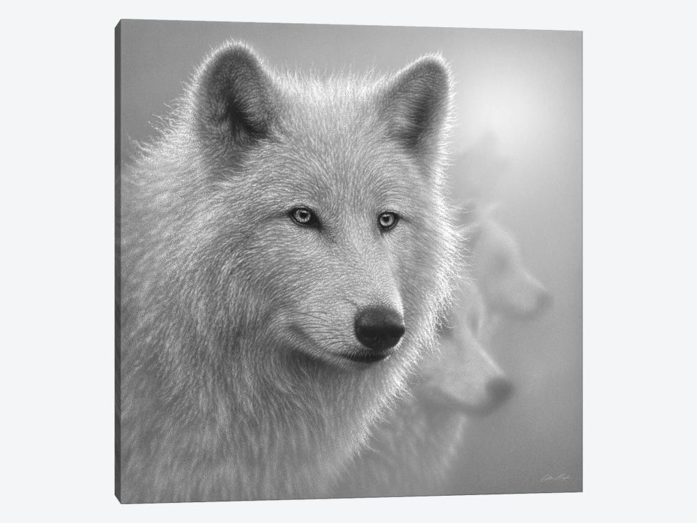 Arctic Wolves Whiteout In Black & White by Collin Bogle 1-piece Canvas Artwork