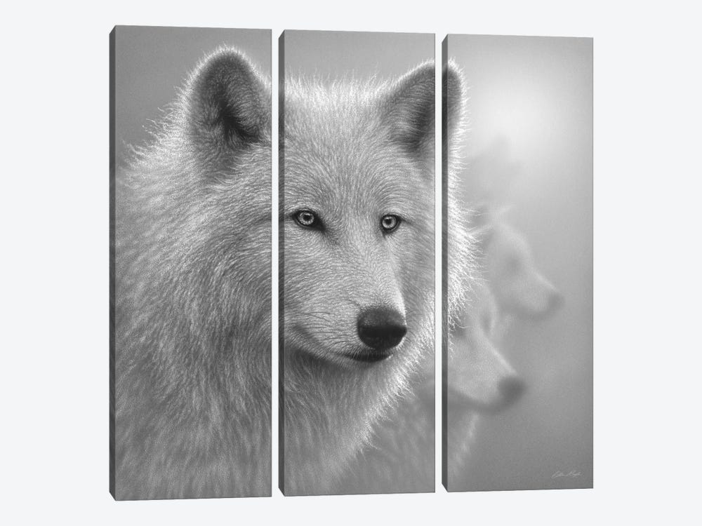 Arctic Wolves Whiteout In Black & White by Collin Bogle 3-piece Canvas Wall Art