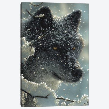 Black Wolf in White Canvas Print #CBO93} by Collin Bogle Canvas Wall Art