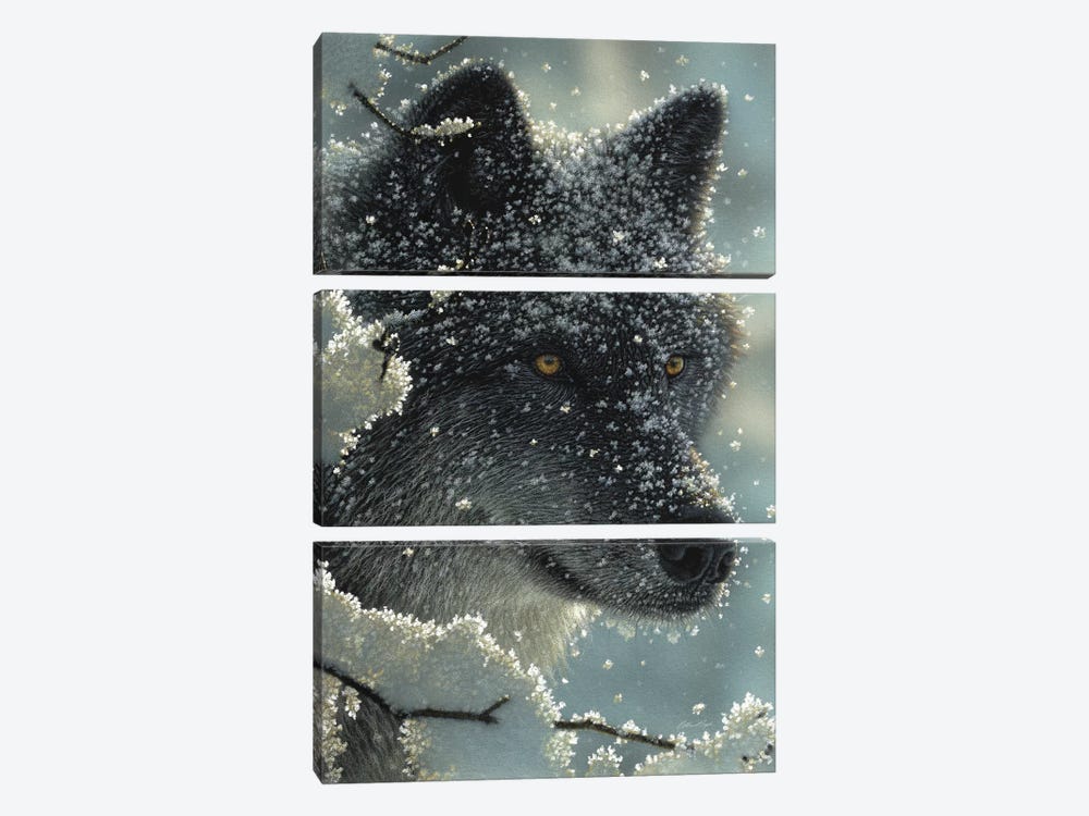 Black Wolf in White by Collin Bogle 3-piece Canvas Art Print
