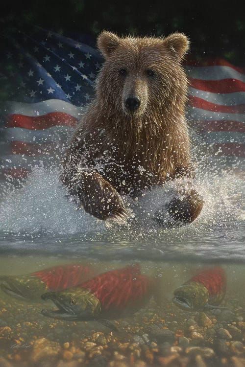 Brown Bear Fishing - America