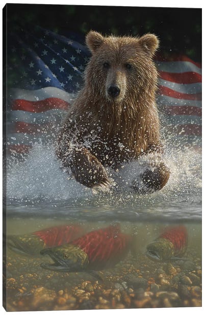 Brown Bear Fishing - America Canvas Art Print - Collin Bogle