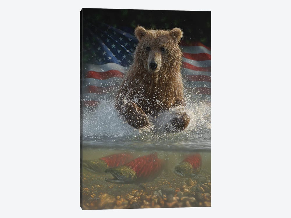 Brown Bear Fishing - America by Collin Bogle 1-piece Canvas Print