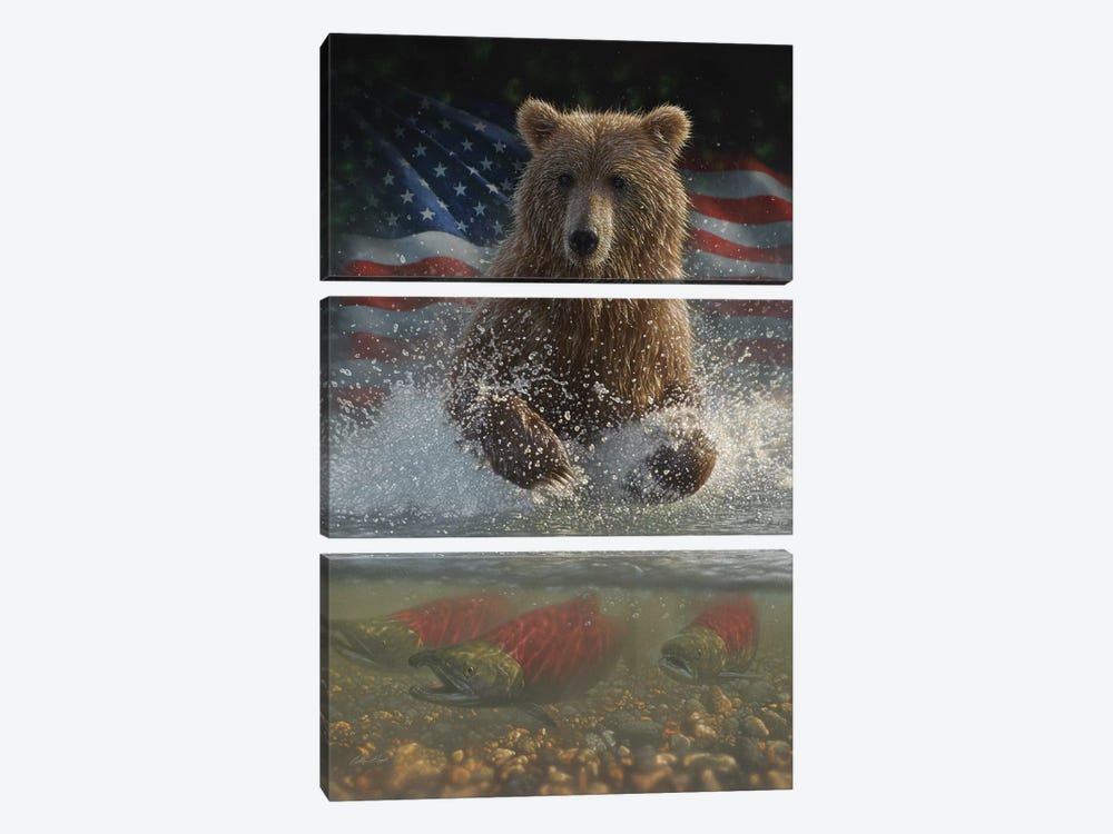 Brown Bear Fishing - America by Collin Bogle 3-piece Canvas Print