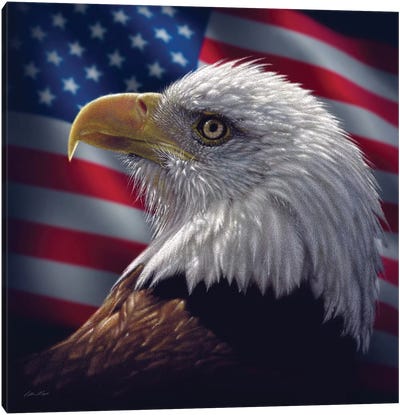 Bald Eagle Portrait America, Square Canvas Art Print - Collin Bogle