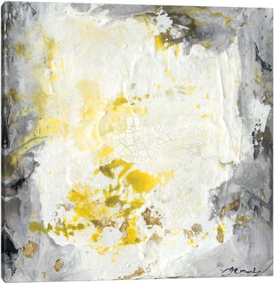 Soft Cliffs I Canvas Art Print - Black, White & Yellow Art