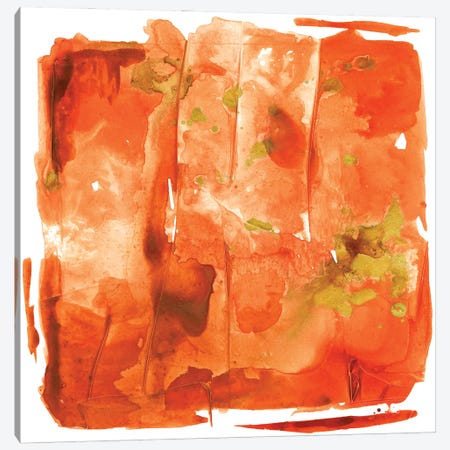 Orange Crush Canvas Print #CBS214} by Joyce Combs Canvas Art