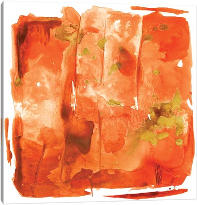 Orange Crush Canvas Art Print