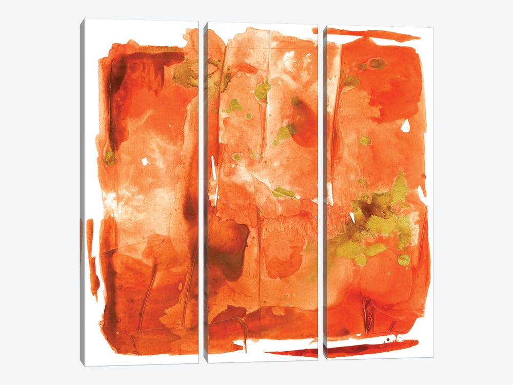 Orange Crush by Joyce Combs 3-piece Art Print
