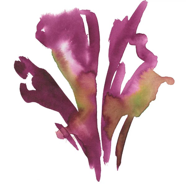 Joyce Combs: Seasonal Reflections III by Joyce Combs