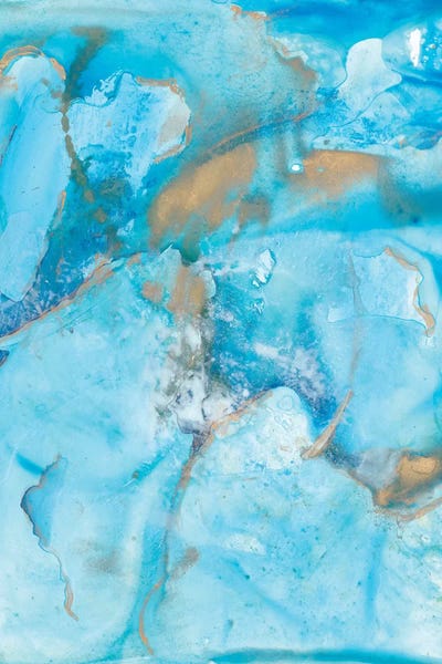 Joyce Combs: Aquarium II by Joyce Combs