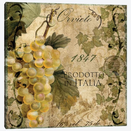 Vino Italiano IV Canvas Print #CBY1033} by Color Bakery Canvas Wall Art