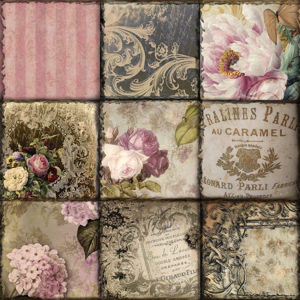 Sasha: Viva la Paris I by Sasha