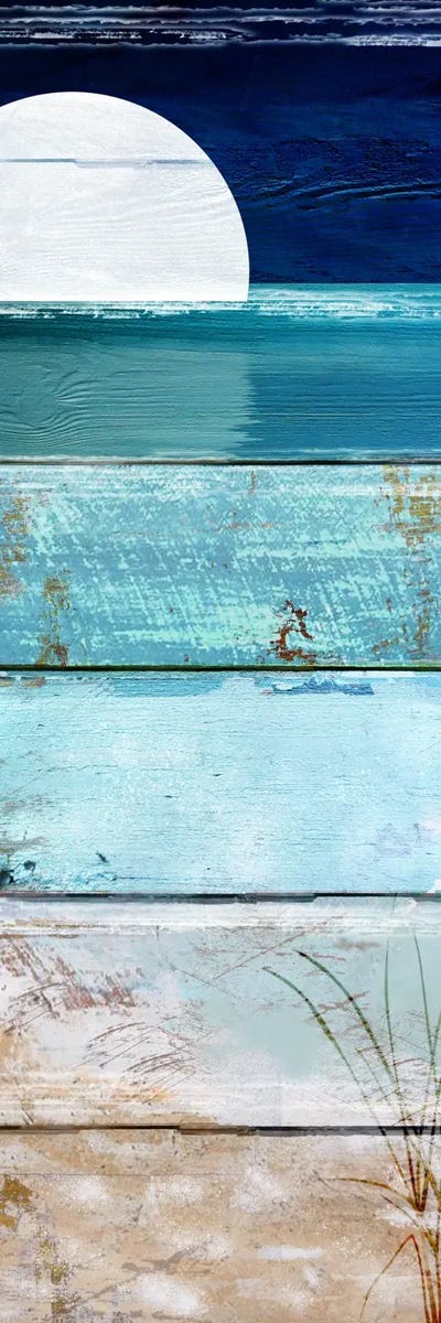 Beach Moonrise I by Sasha framed canvas print