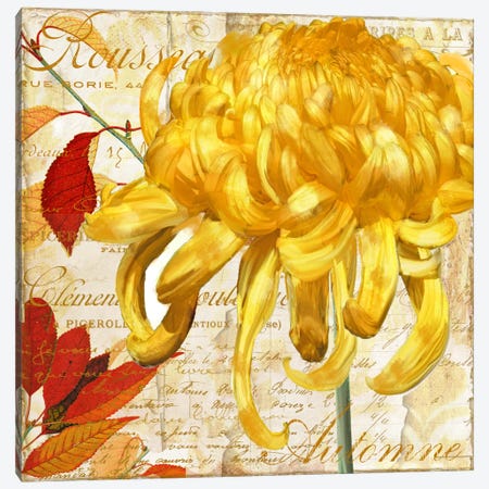 Chrysanthemes II Canvas Print #CBY246} by Color Bakery Art Print