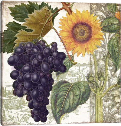 Dolcetto I Canvas Art Print - Grape Art