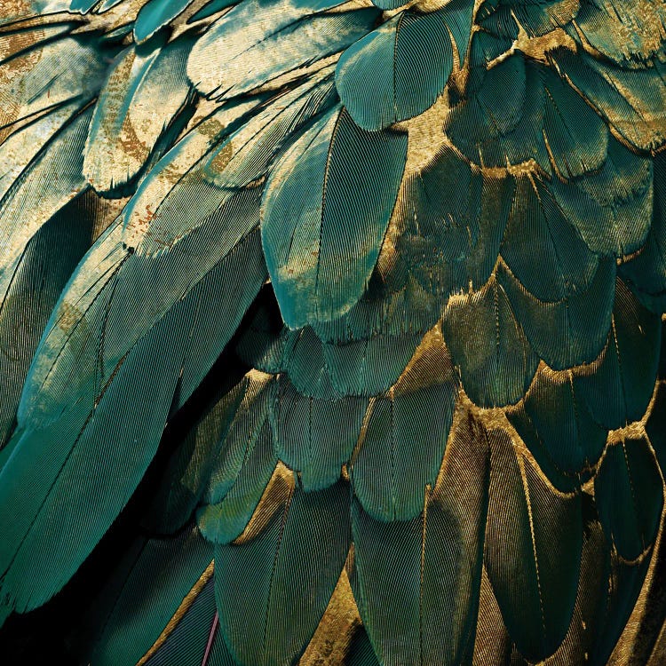 Feather Glitter by Sasha wall art