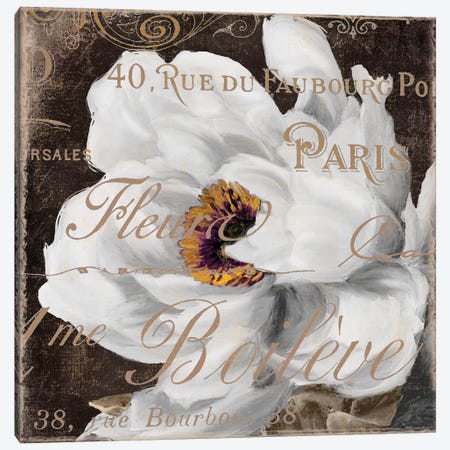 Fleurs Blanc III Canvas Print #CBY396} by Color Bakery Canvas Print