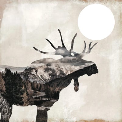 Going Wild V by Sasha framed wall art