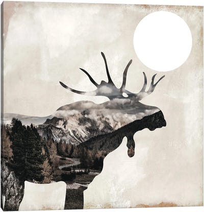 Going Wild V Canvas Art Print - Moose Art