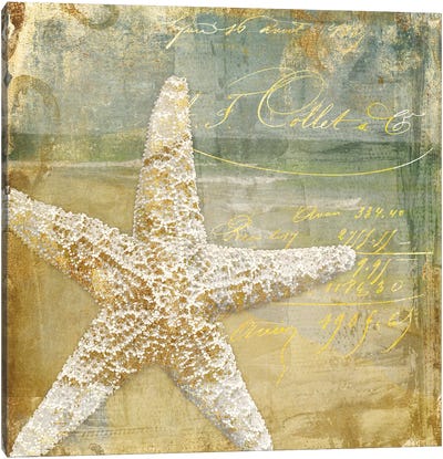 Golden Sea IV Canvas Art Print - Starfish Art