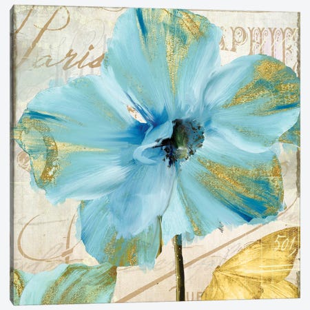 Himalayan Poppy Canvas Print #CBY494} by Color Bakery Canvas Art
