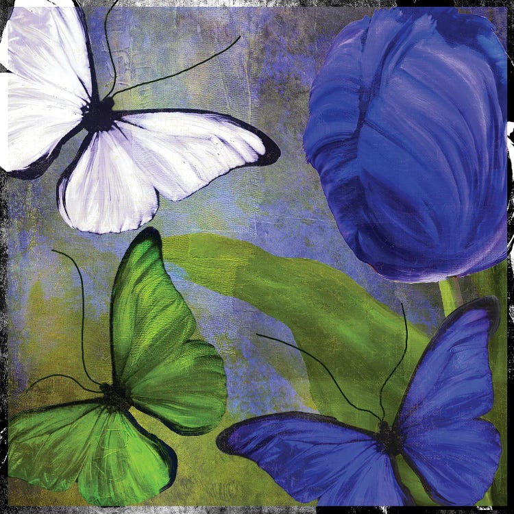 Morphos II by Sasha wall art