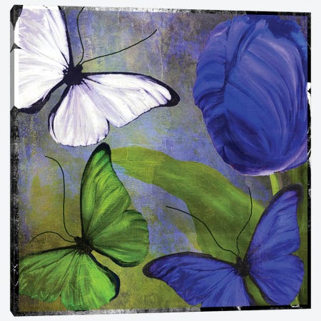 Morphos II Canvas Print #CBY647} by Color Bakery Canvas Print