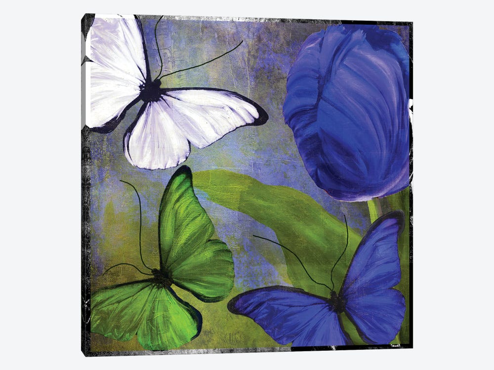 Morphos II by Color Bakery 1-piece Canvas Print