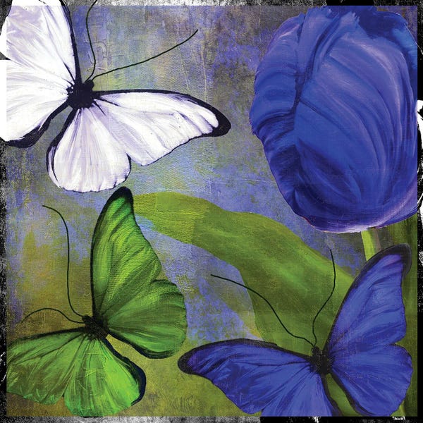 Butterflies and Flowers: Morphos II by Sasha