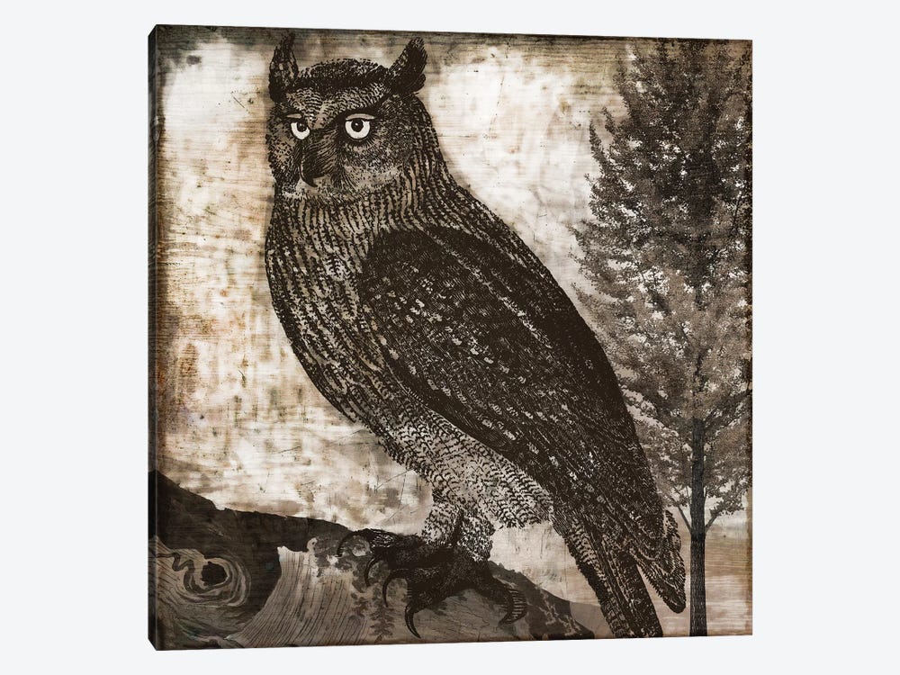 Owl II by Color Bakery 1-piece Art Print