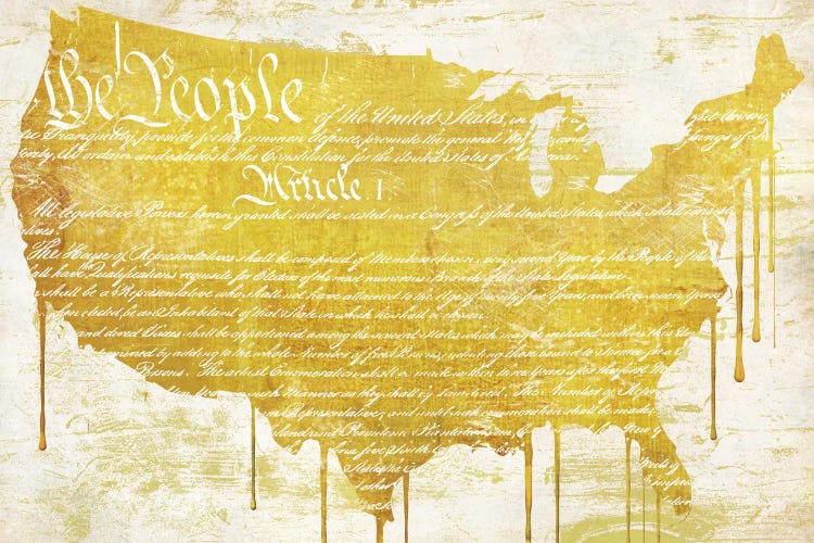 American Dream II by Sasha wall art