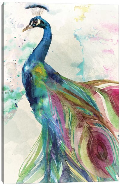 Peacock Canvas Art Print - Color Bakery