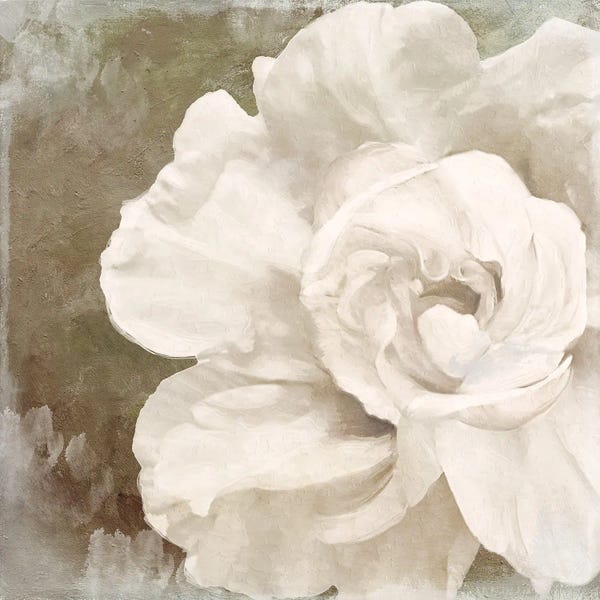 Sasha: Petals Impasto II by Sasha