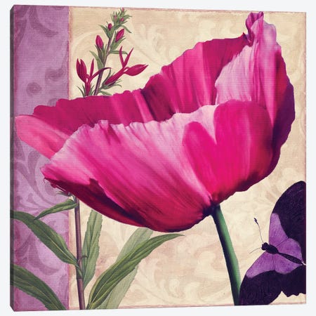 Pink Poppy I Canvas Print #CBY784} by Color Bakery Canvas Wall Art