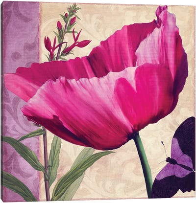 Pink Poppy I Canvas Art Print - Sasha