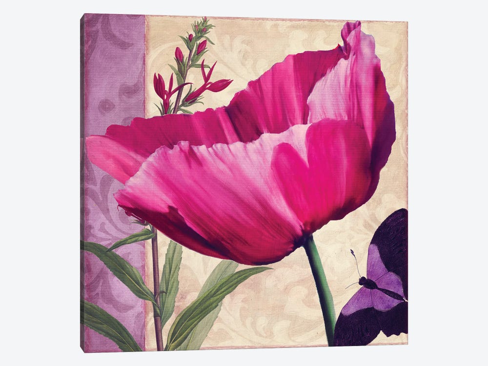 Pink Poppy I by Sasha 1-piece Canvas Print