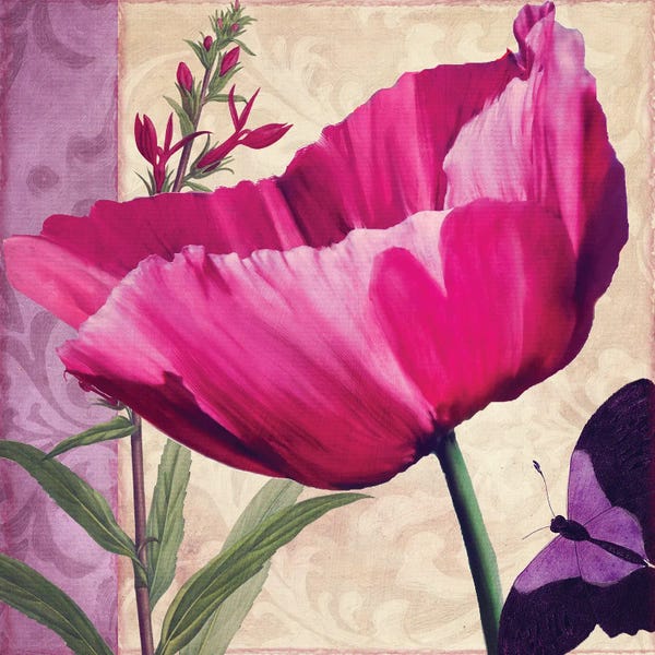 Sasha: Pink Poppy I by Sasha