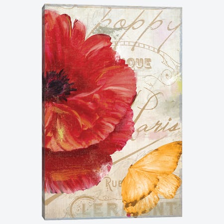 Red Poppy Canvas Print #CBY819} by Color Bakery Art Print