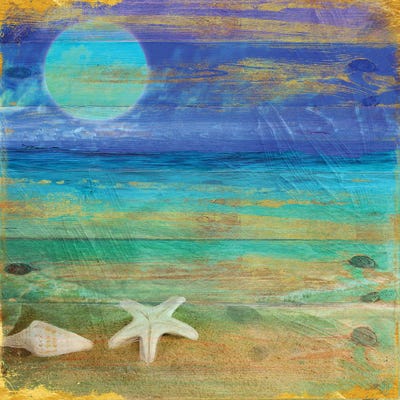 Turquoise Moon Night by Sasha canvas print